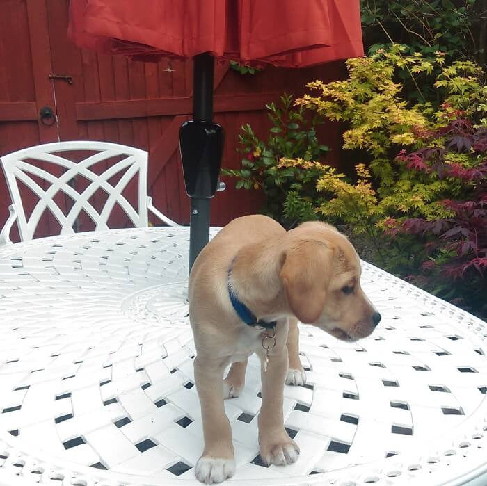 JUNE Tisch (6 Personen Set)