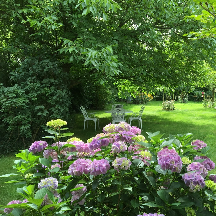 LISA Tisch (4 Personen Set)