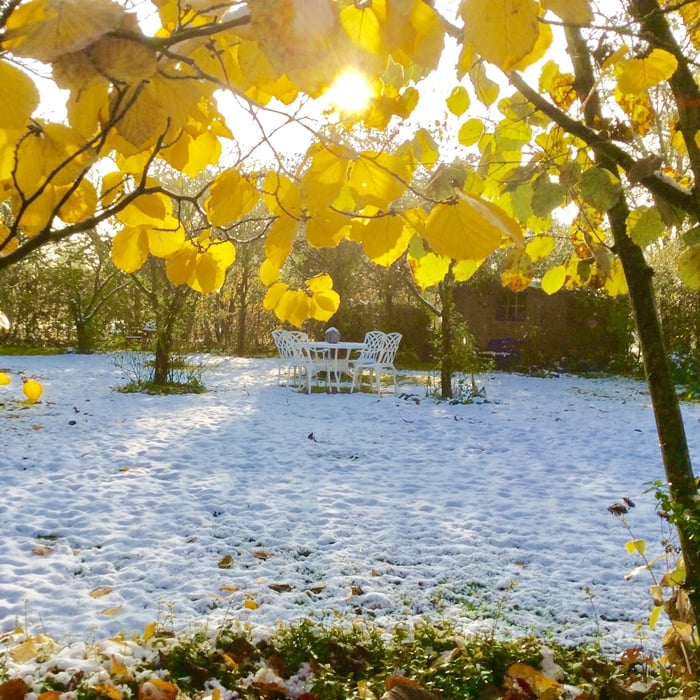 LISA Tisch (4 Personen Set)