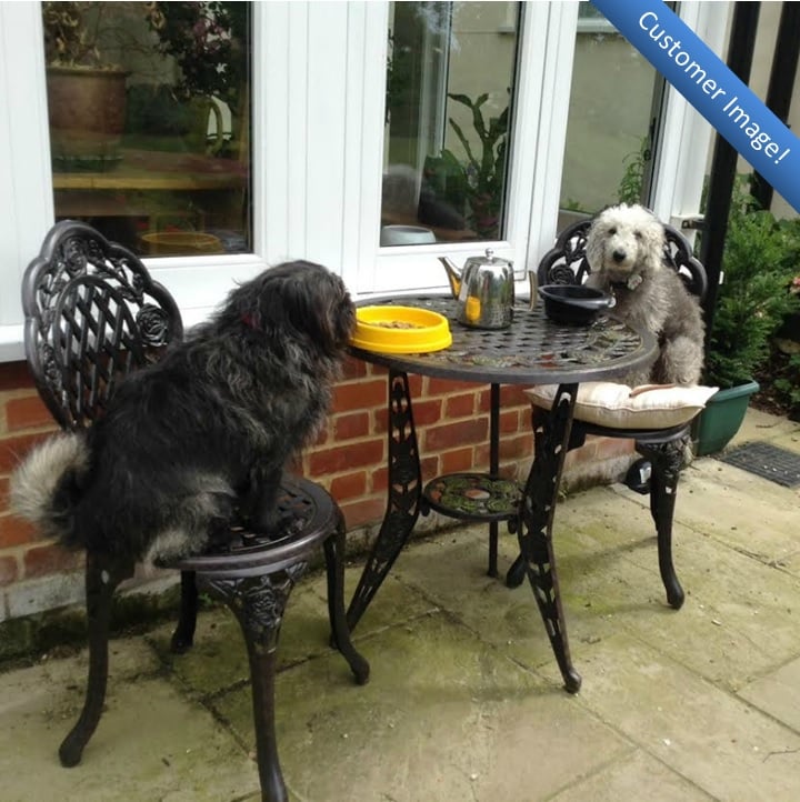 ROSE Bistro Set (Tisch mit 2 Stühlen)