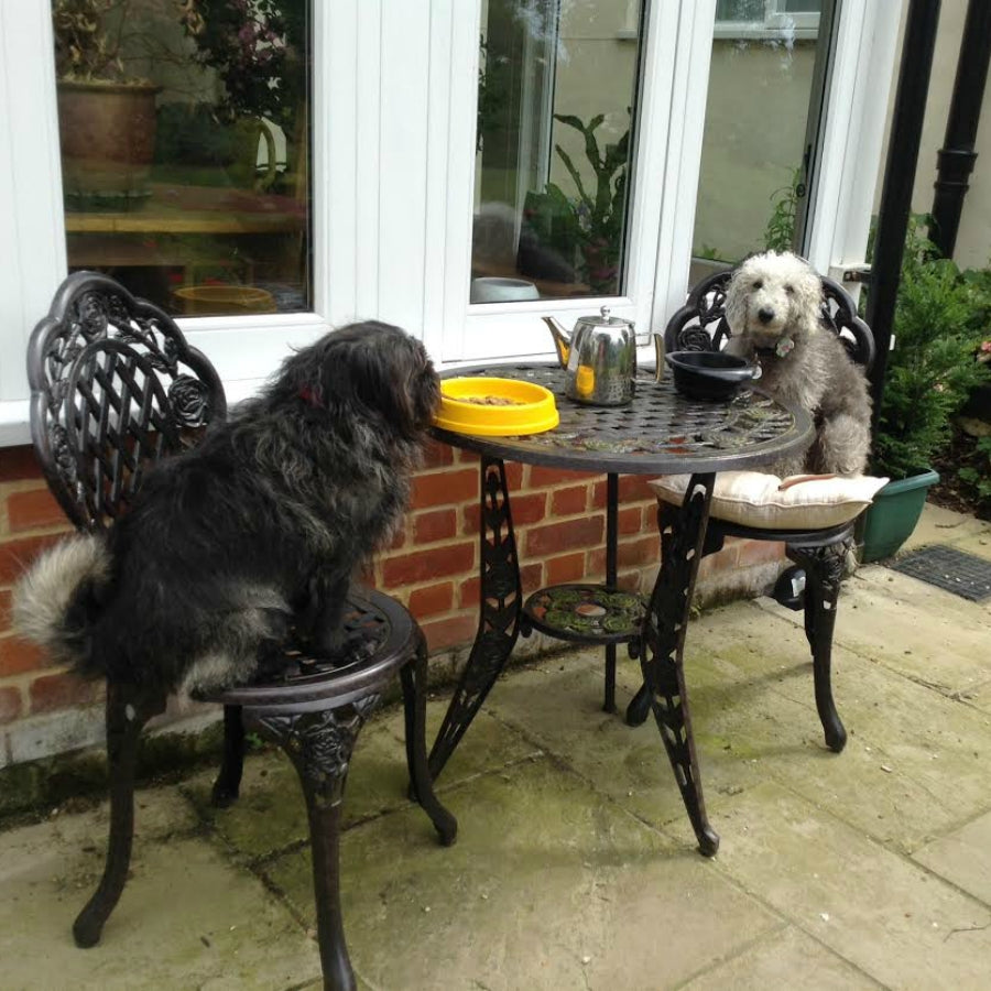ROSE Bistro Set (Tisch mit 2 Stühlen)