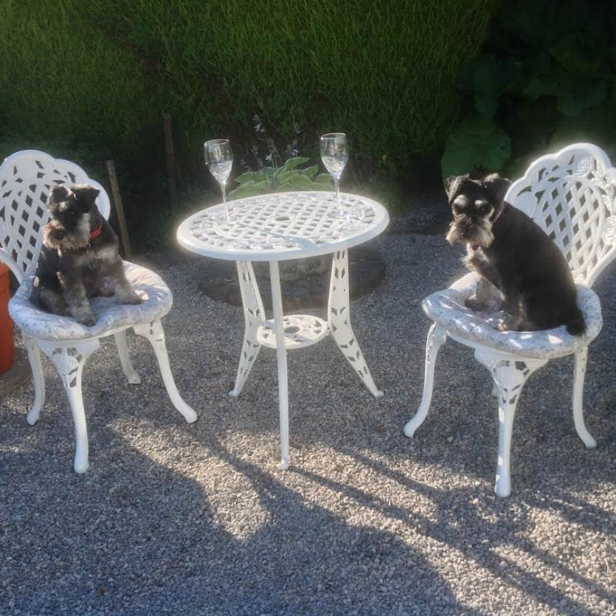 ROSE Bistro Set (Tisch mit 2 Stühlen)