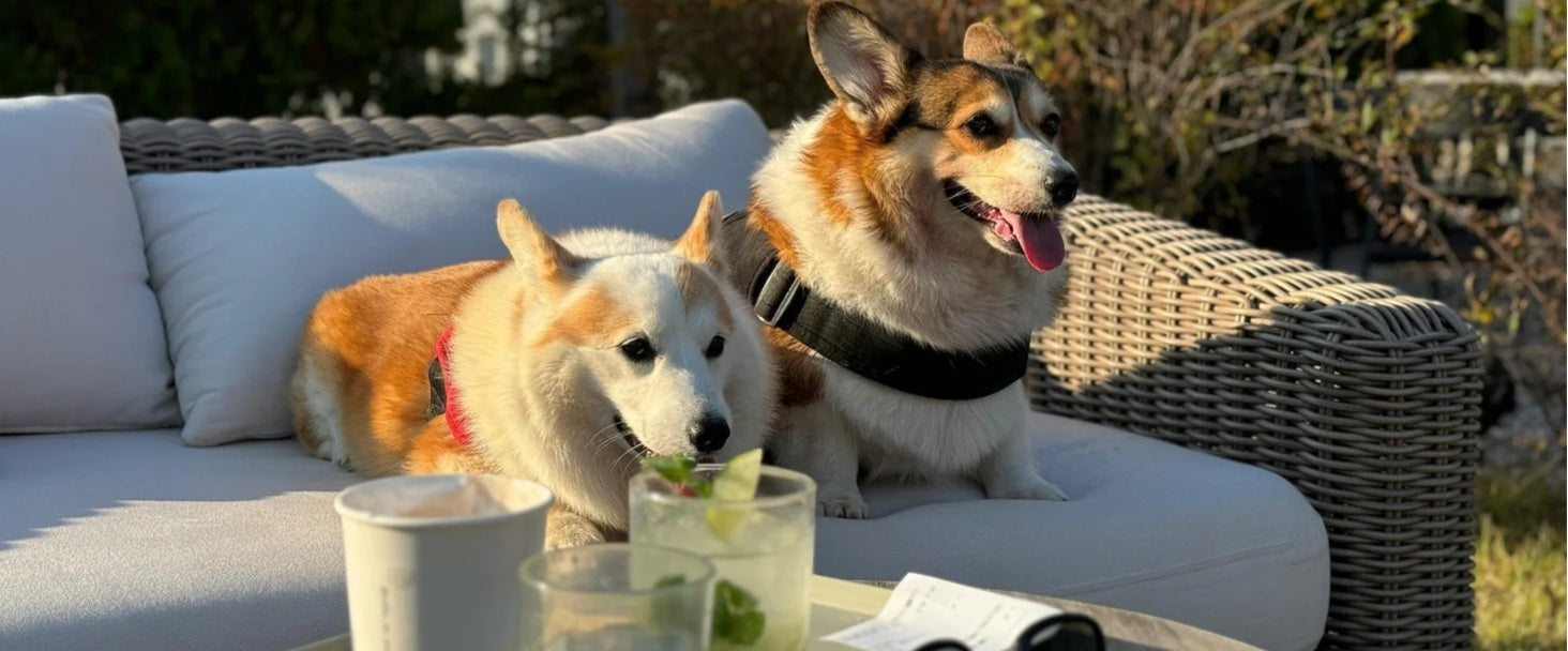 Welche Outdoor-Sofas sind wasserdicht?