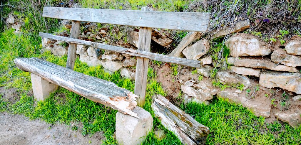 Das beste wetterfeste Holz für Ihre Gartenbank: Tipps und Empfehlungen