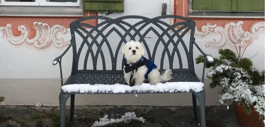 Unser kompletter Gartenmöbel-Kaufratgeber für 2026 (Deutschland)