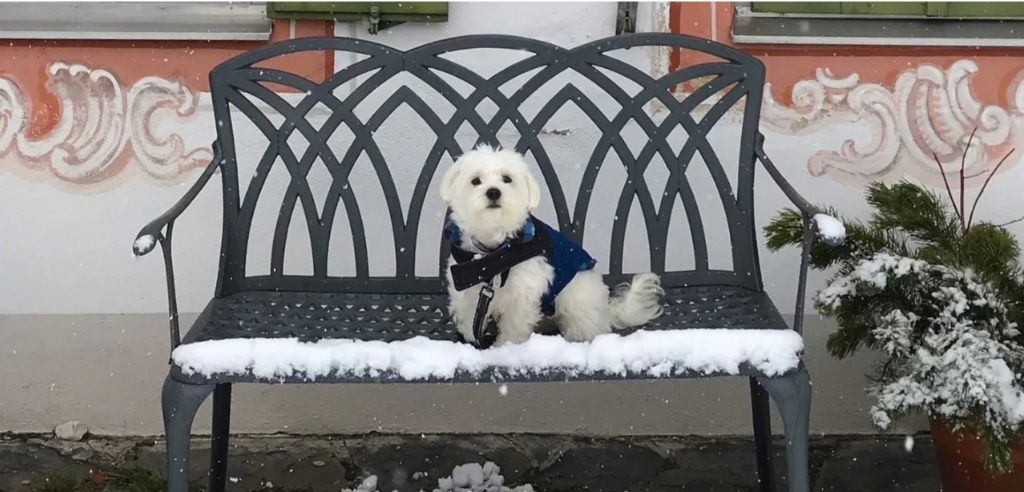 Was sind die besten wetterfesten Möbel für deutsche Gärten?
