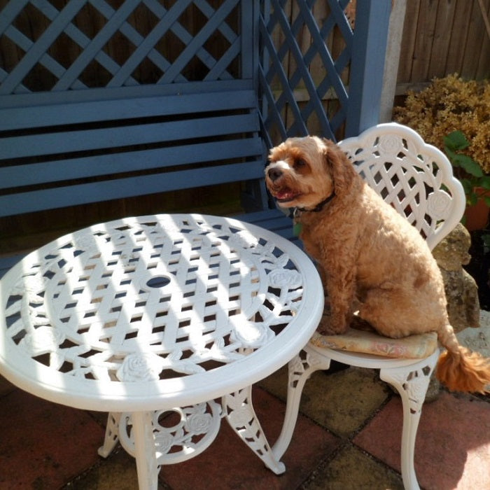 ROSE Bistro Set (Tisch mit 2 Stühlen) 