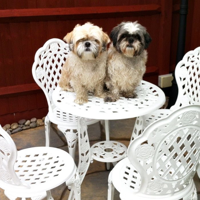 ROSE Bistro Set (Tisch mit 2 Stühlen) 